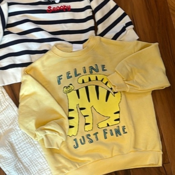 Zara Feline Fine Cat Sweatshirt - Picture 3 of 4